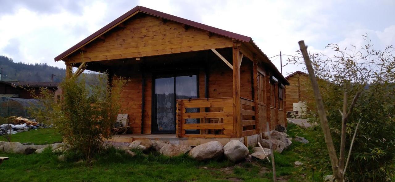 Chalets Les 5 Loups Gerbépal Kültér fotó